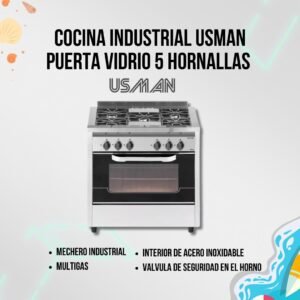Cocina Industrial Usman 5H Pta. Vidrio 80 cm (5536)
